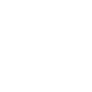 icon1