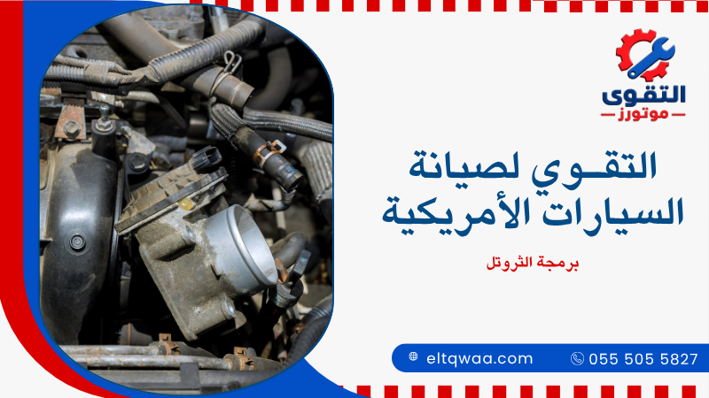 برمجة الثروتل